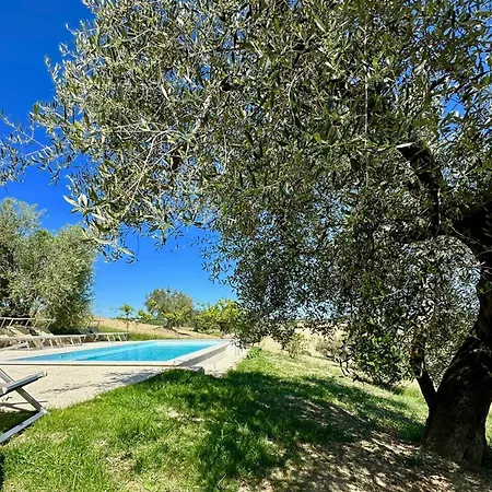 The Gelso With Swimming Pool In The Countryside Of Senigallia Senigallia