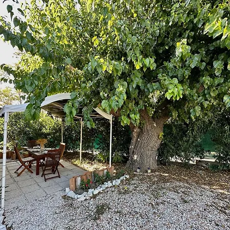 The Gelso With Swimming Pool In The Countryside Of Senigallia Holiday home *