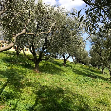 Appartamento Charming Historic Hideaway With Stunning Pool *