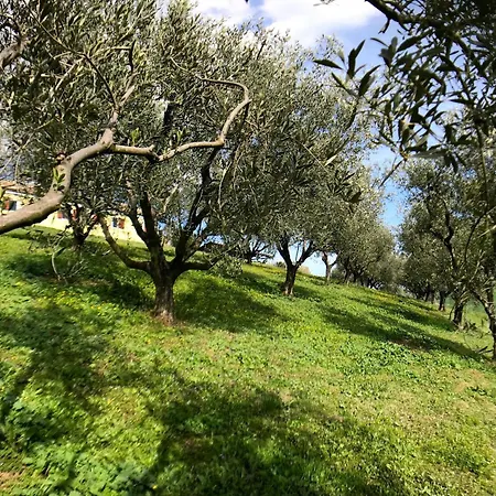 Holiday home The Gelso With Swimming Pool In The Countryside Of Senigallia *