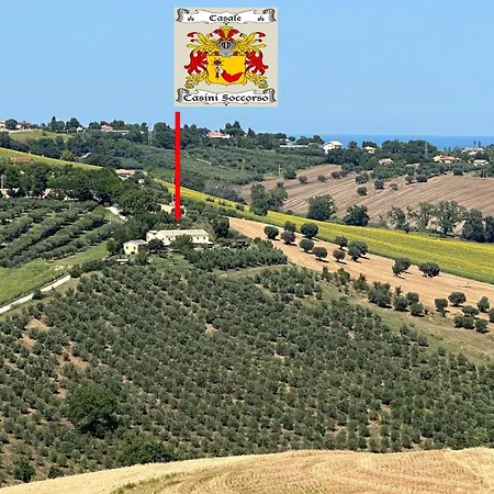 The Gelso With Swimming Pool In The Countryside Of Senigallia